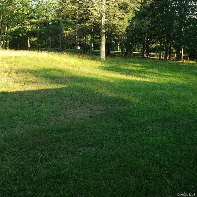 #5 photo, 167 Old Turnpike Road, Woodridge , NY 12789