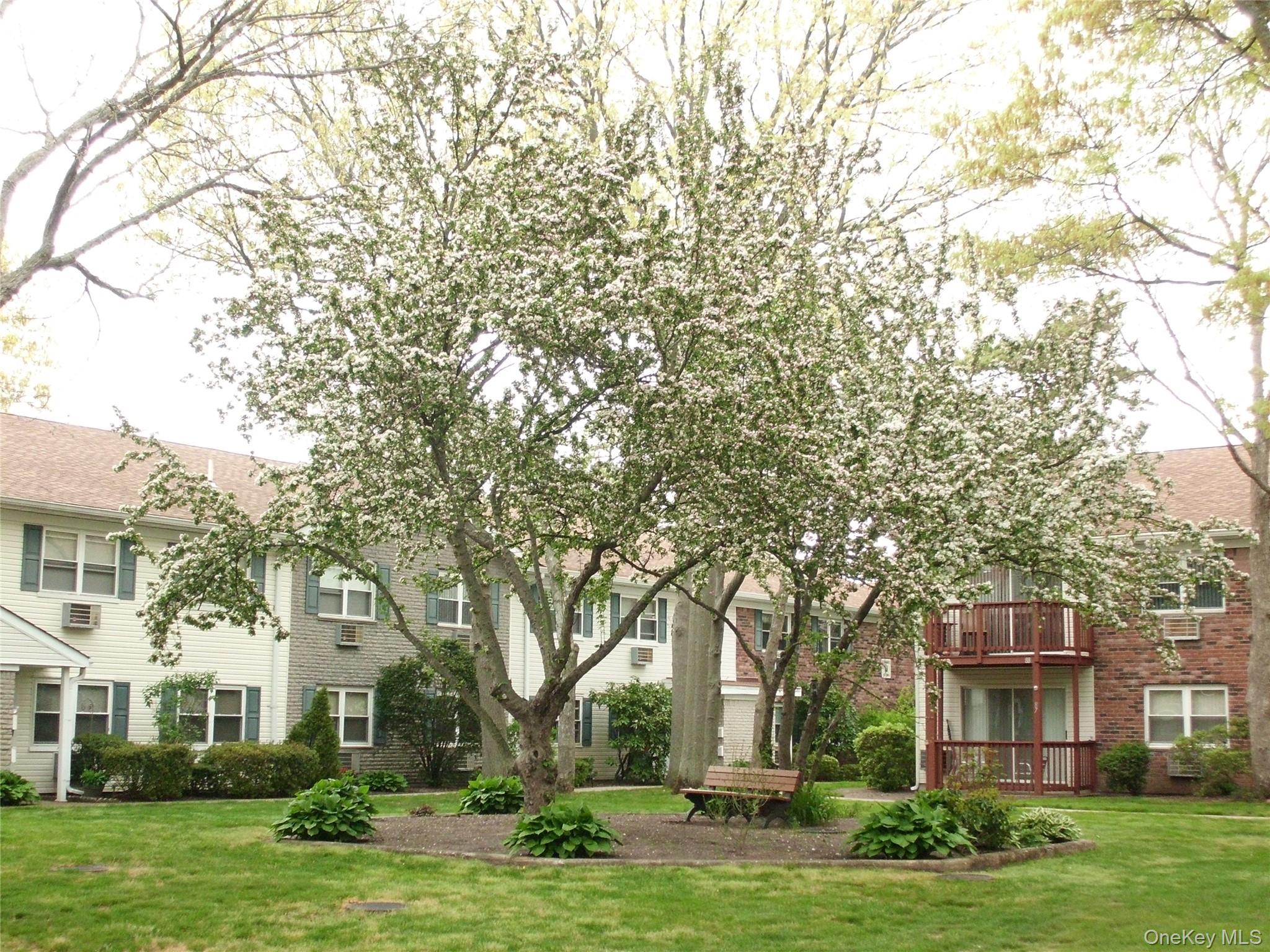 #11 photo, 40-171 W 4th Street, Patchogue , NY 11772