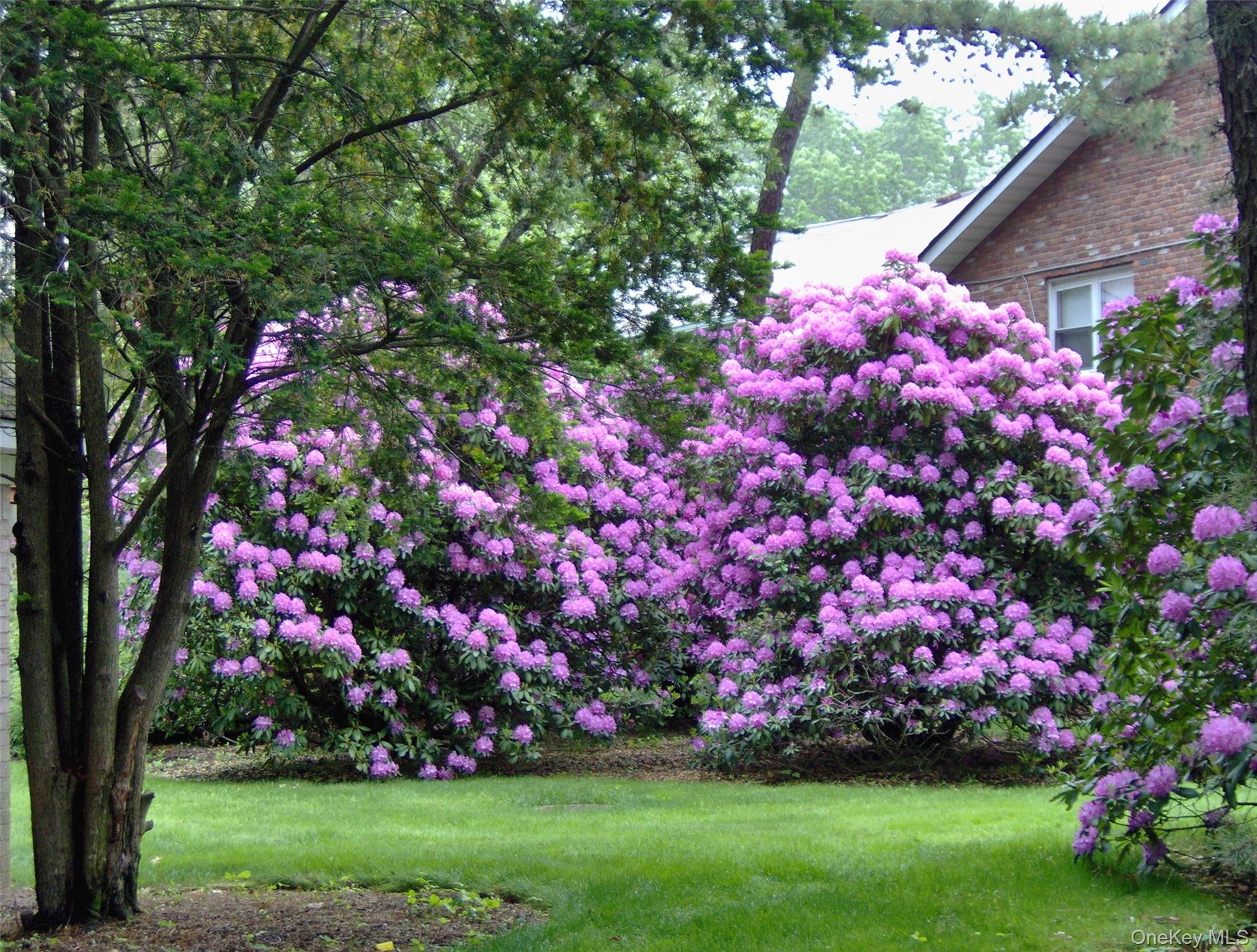 #13 photo, 40-171 W 4th Street, Patchogue , NY 11772