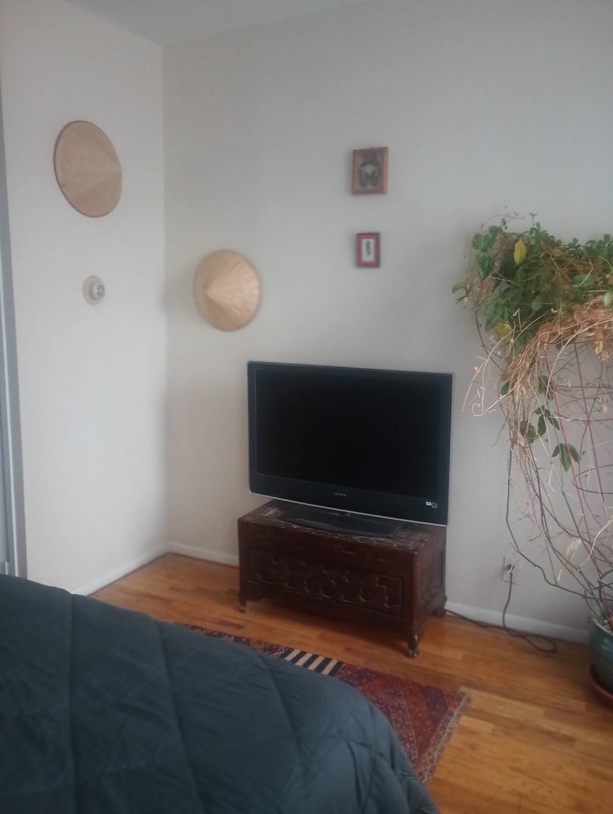 #5 photo, 572 Union Street, ব্রুকলিন Gowanus , NY 11215