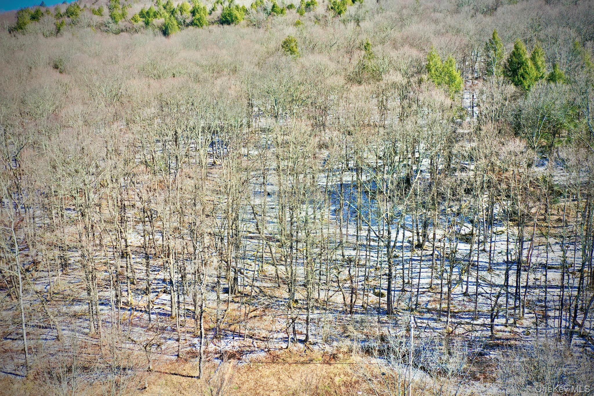 #10 photo, Cr-6, Margaretville , NY 13825