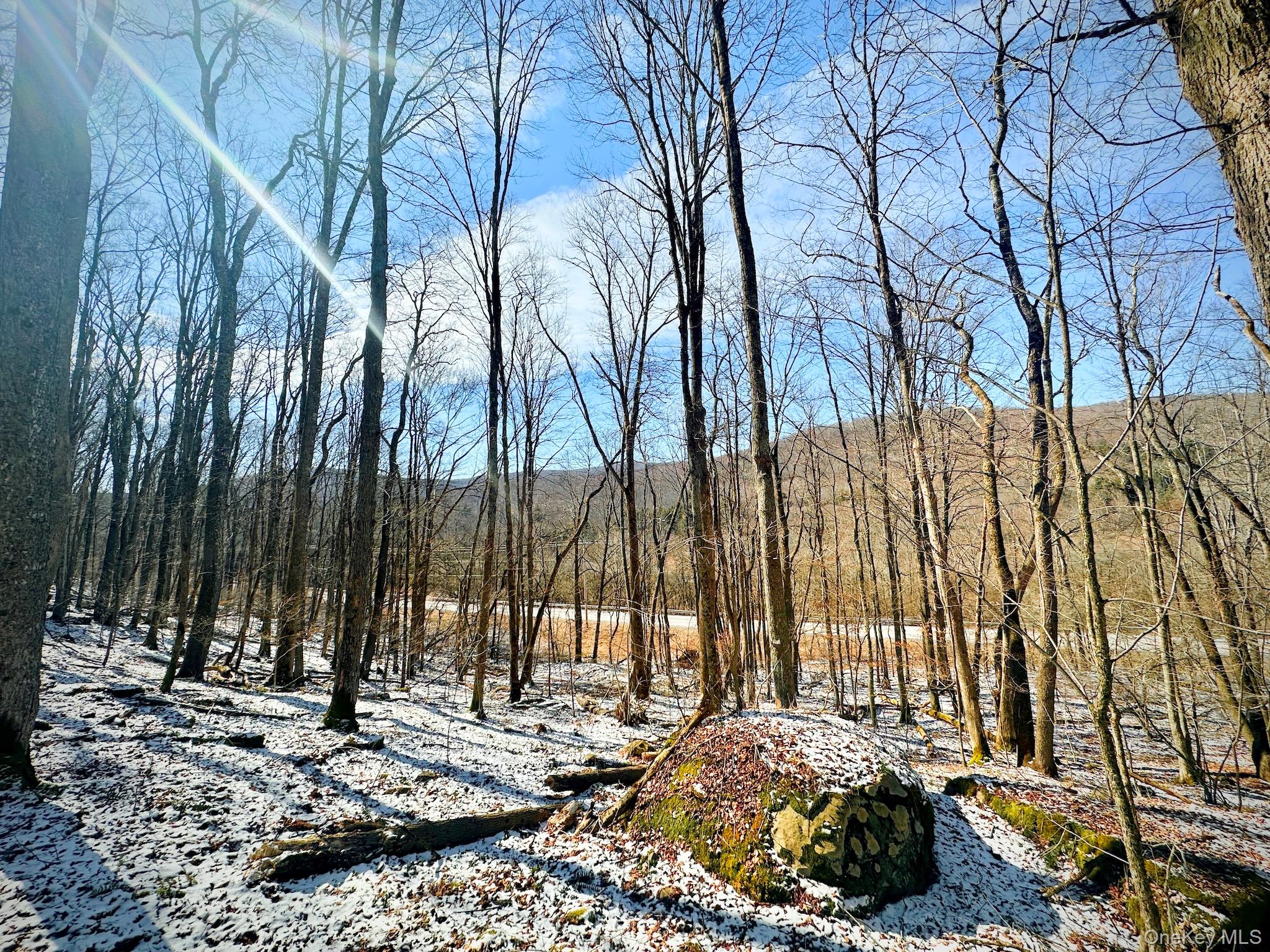 #13 photo, Cr-6, Margaretville , NY 13825