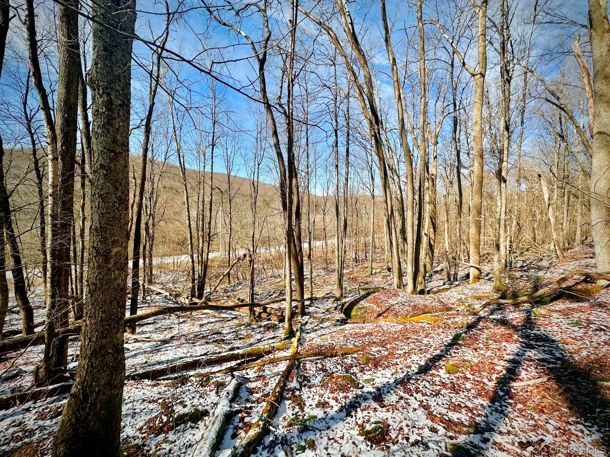 #15 photo, Cr-6, Margaretville , NY 13825