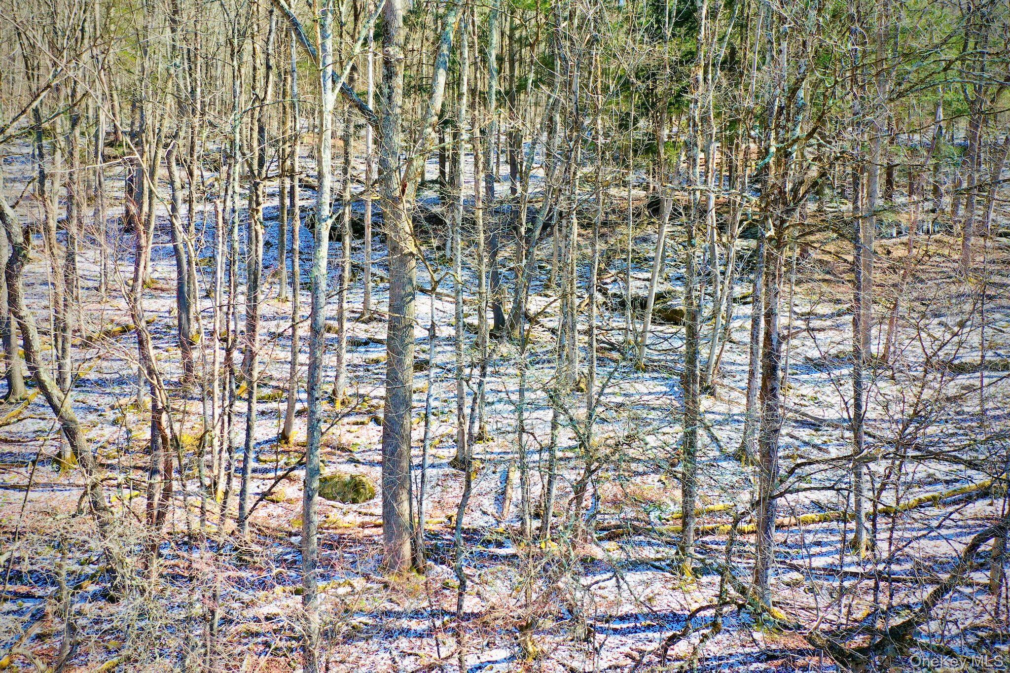 #16 photo, Cr-6, Margaretville , NY 13825