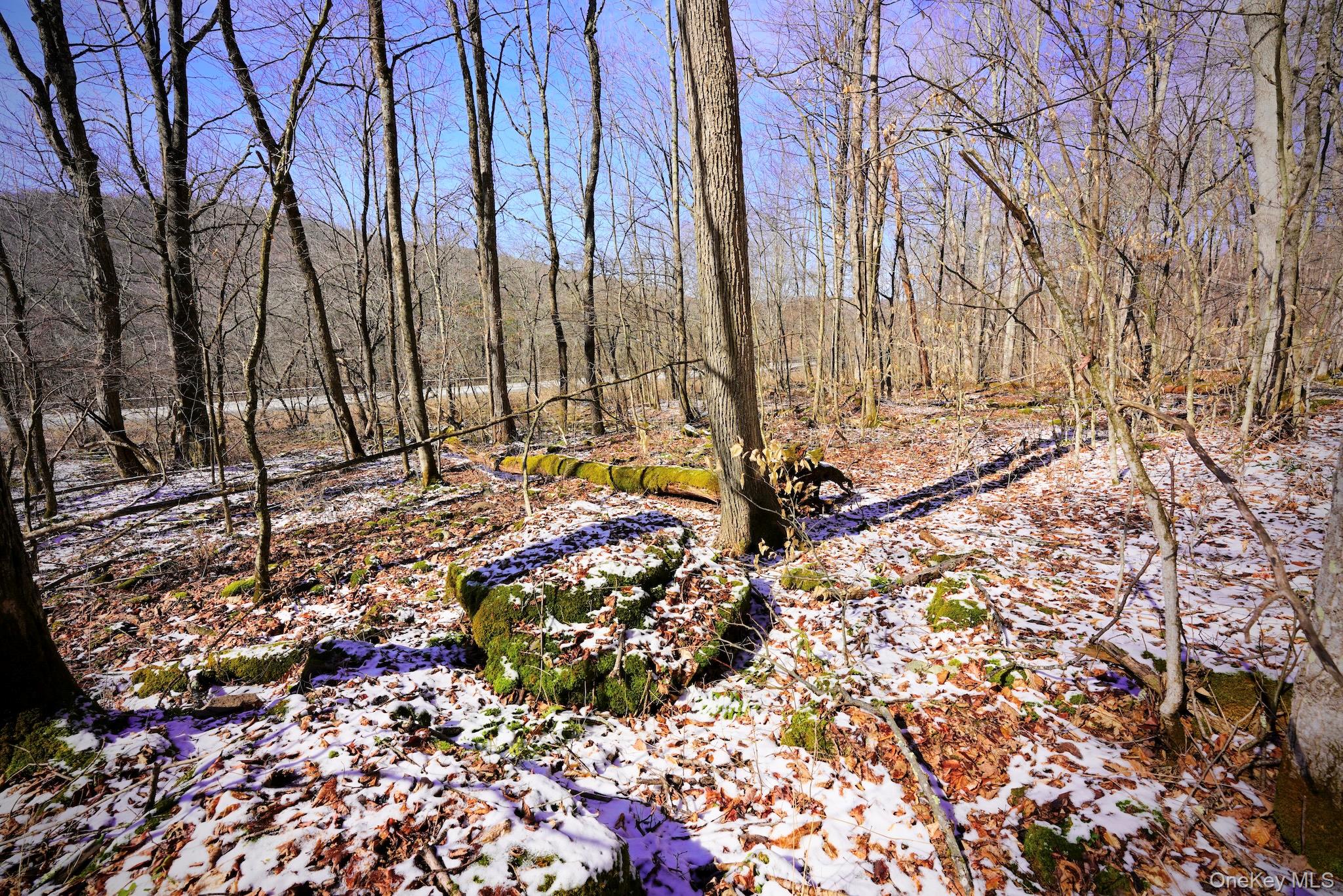 #17 photo, Cr-6, Margaretville , NY 13825