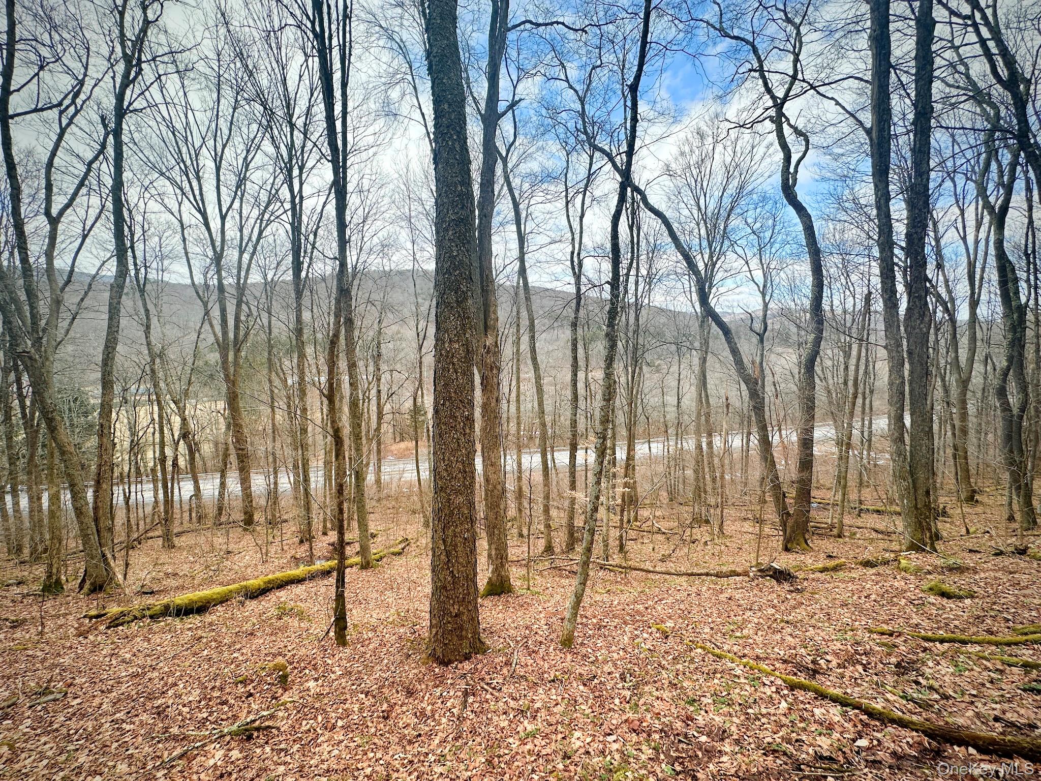 #4 photo, Cr-6, Margaretville , NY 13825