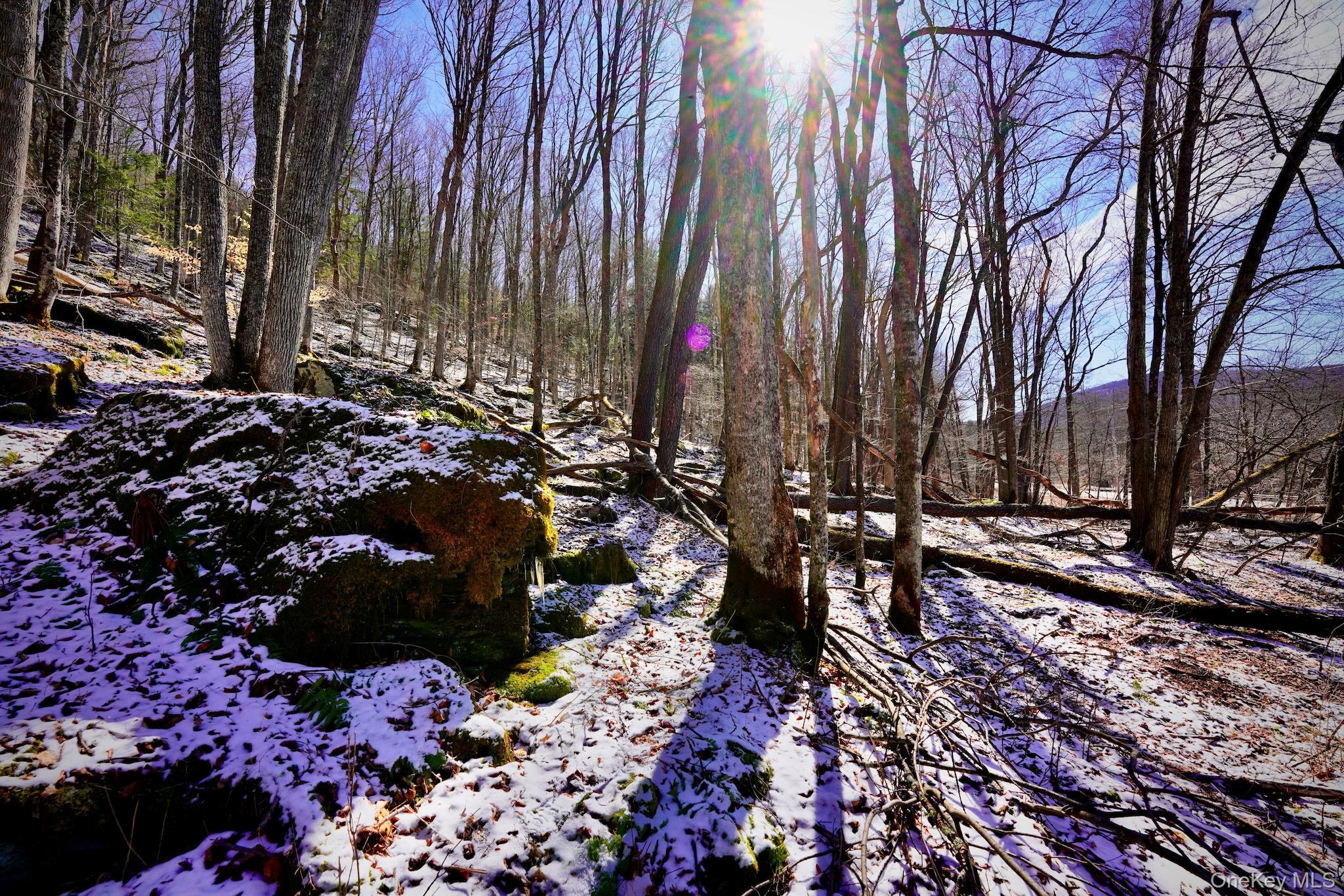 #5 photo, Cr-6, Margaretville , NY 13825