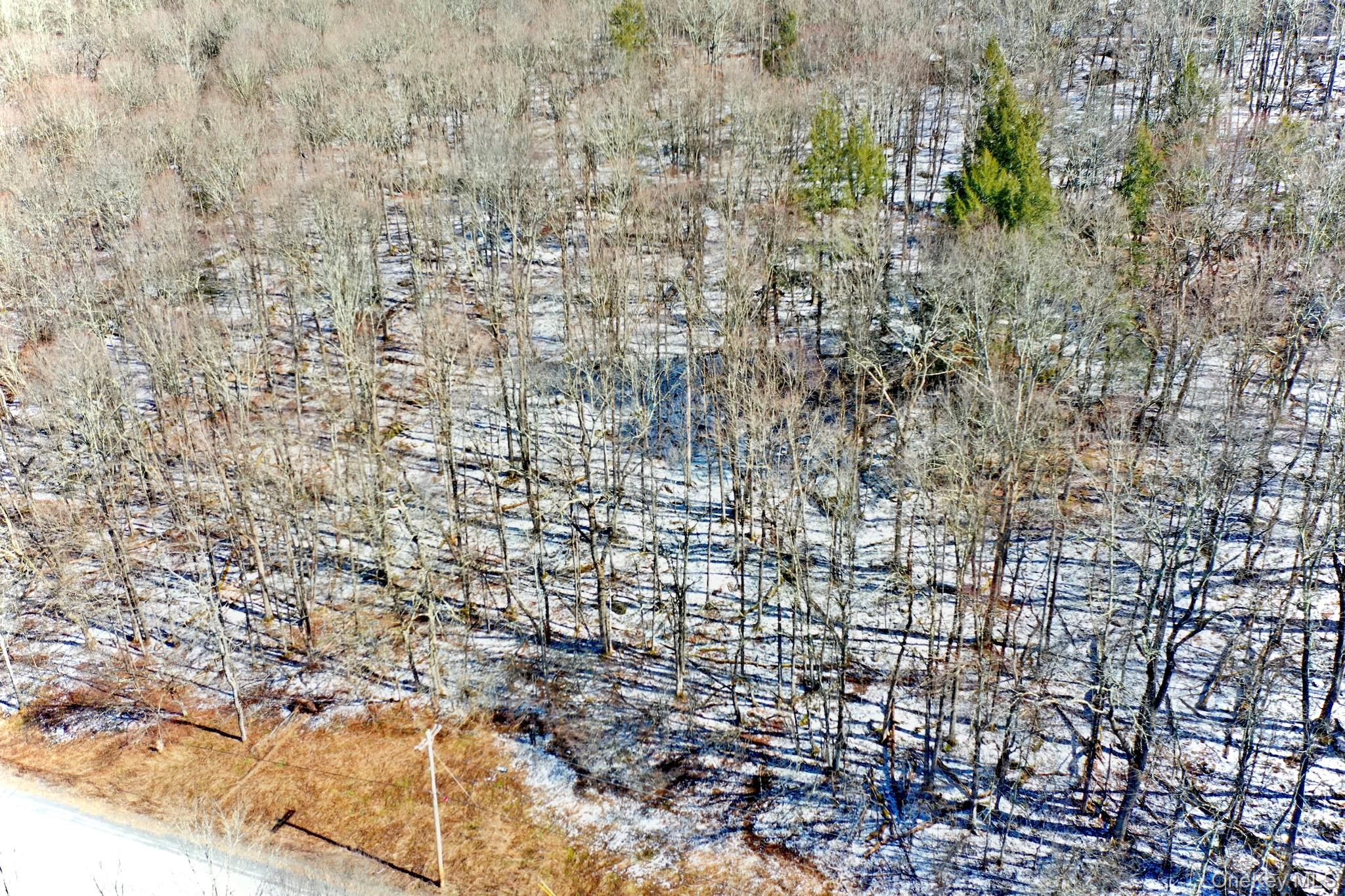 #6 photo, Cr-6, Margaretville , NY 13825