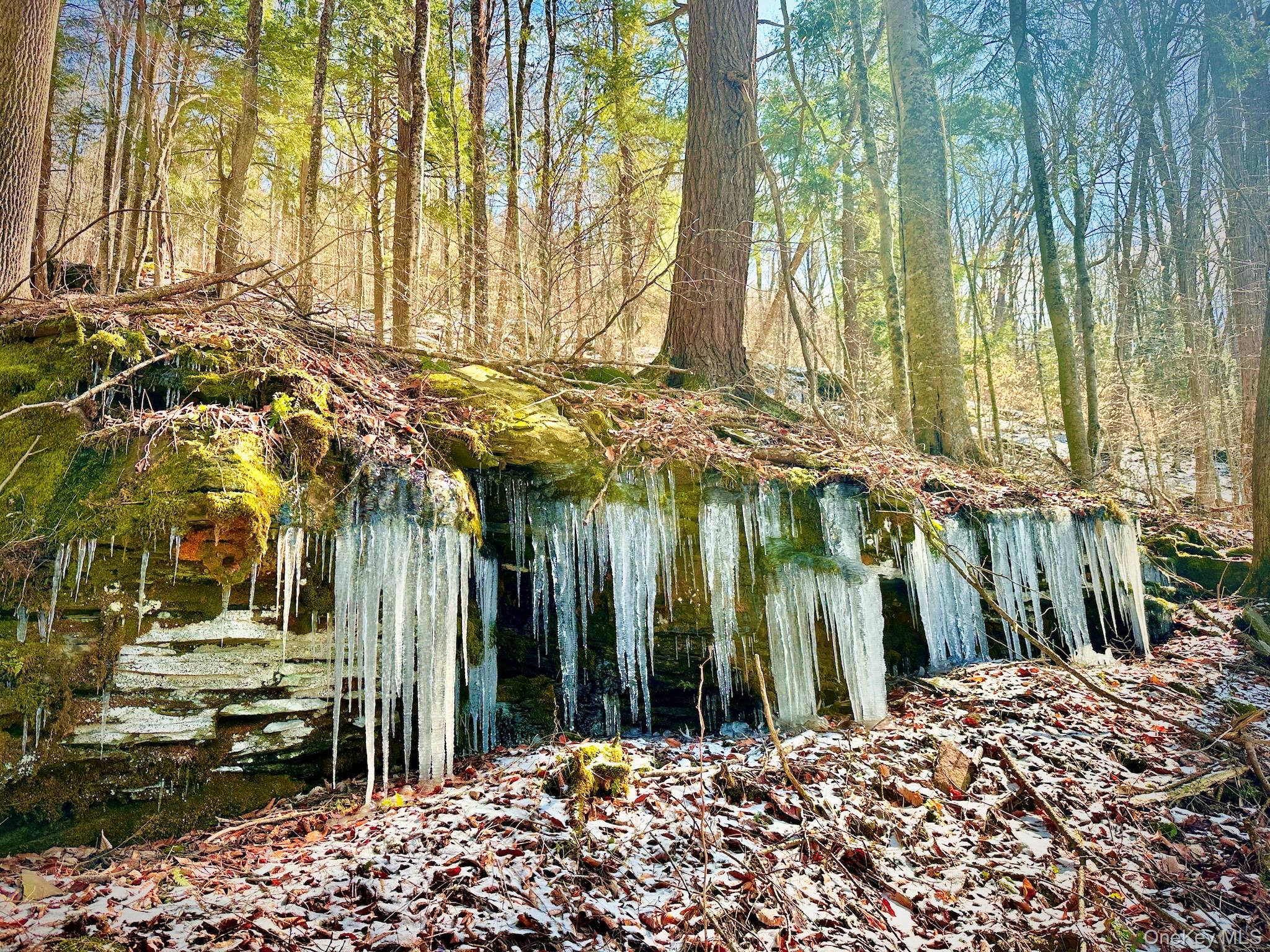 #7 photo, Cr-6, Margaretville , NY 13825