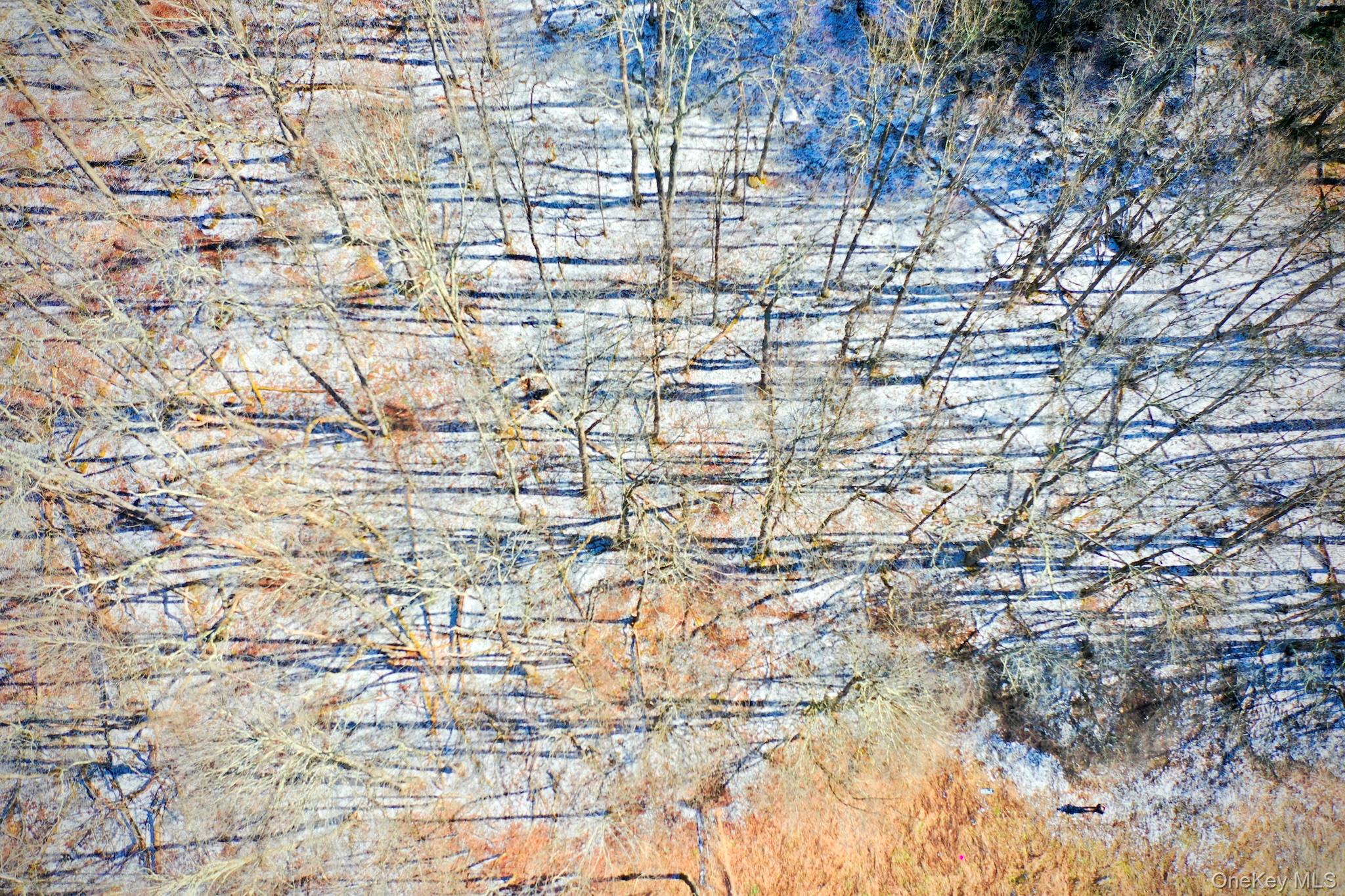 #8 photo, Cr-6, Margaretville , NY 13825