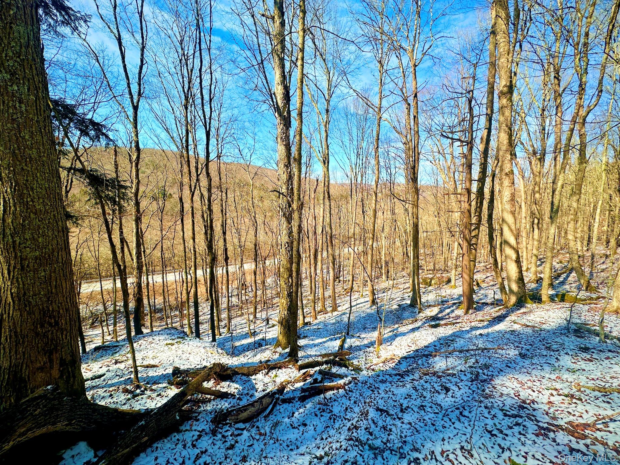 #9 photo, Cr-6, Margaretville , NY 13825