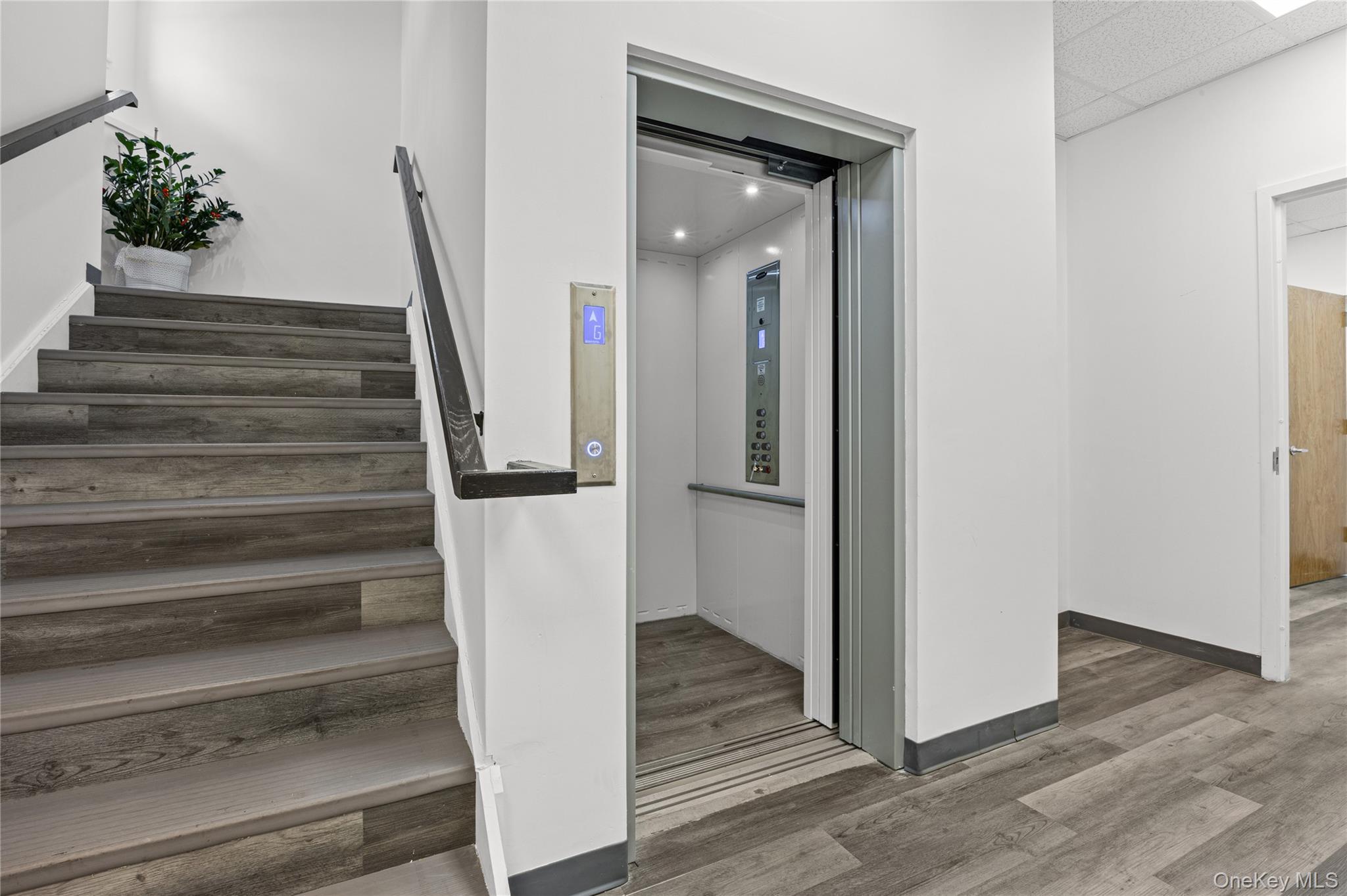 #20 photo, Franklin Square, Franklin Square , NY 11010