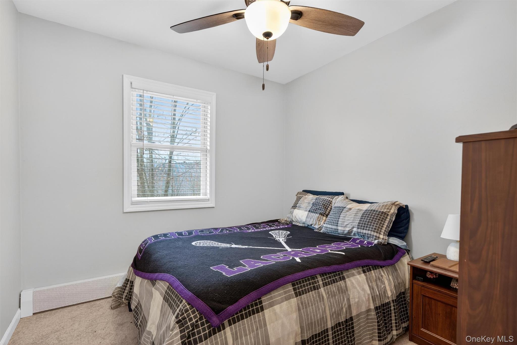 #19 photo, 28 Olympus Road, Highland Mills , NY 10930