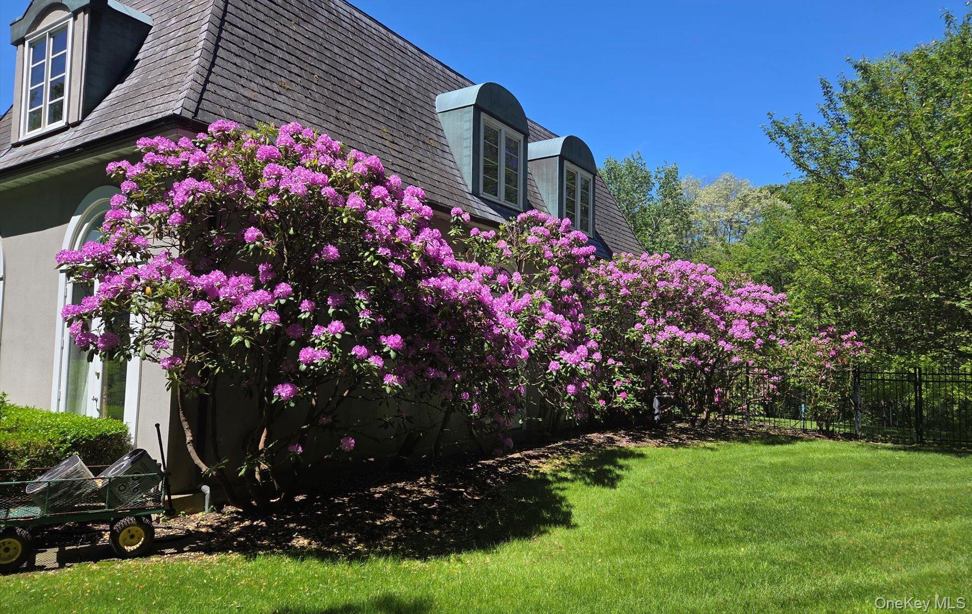 #5 photo, 38 Tiffany Road, Oyster Bay Cove , NY 11771