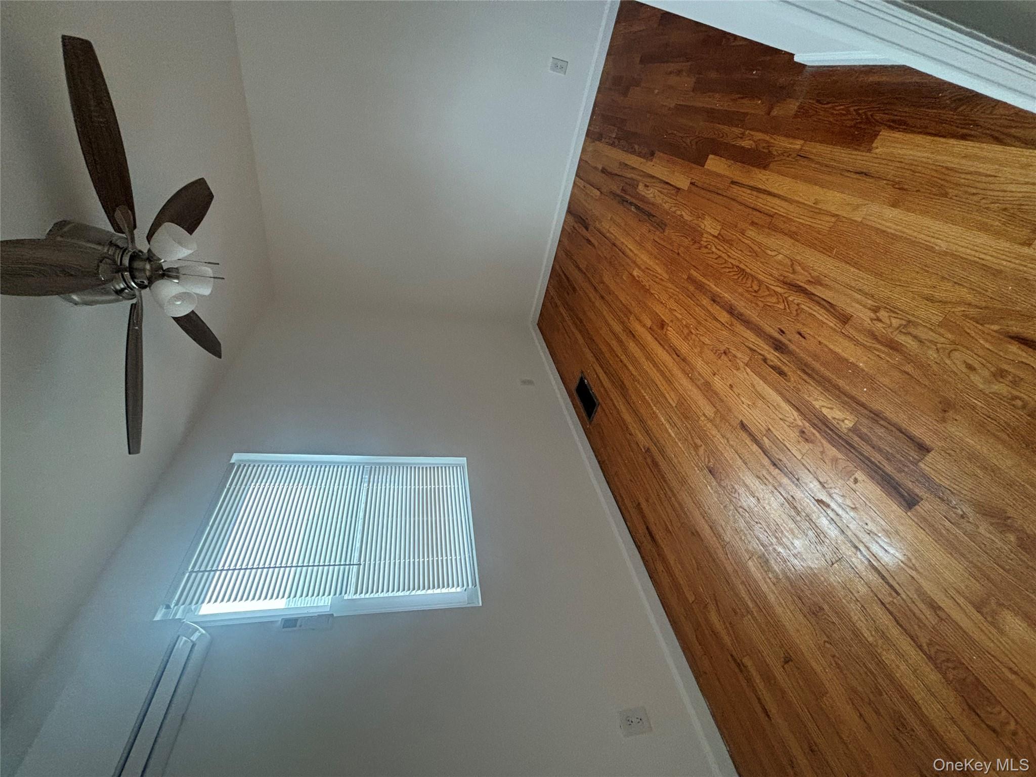 #10 photo, 17 Wingate Rd, 长岛 Valley Stream , NY 11581