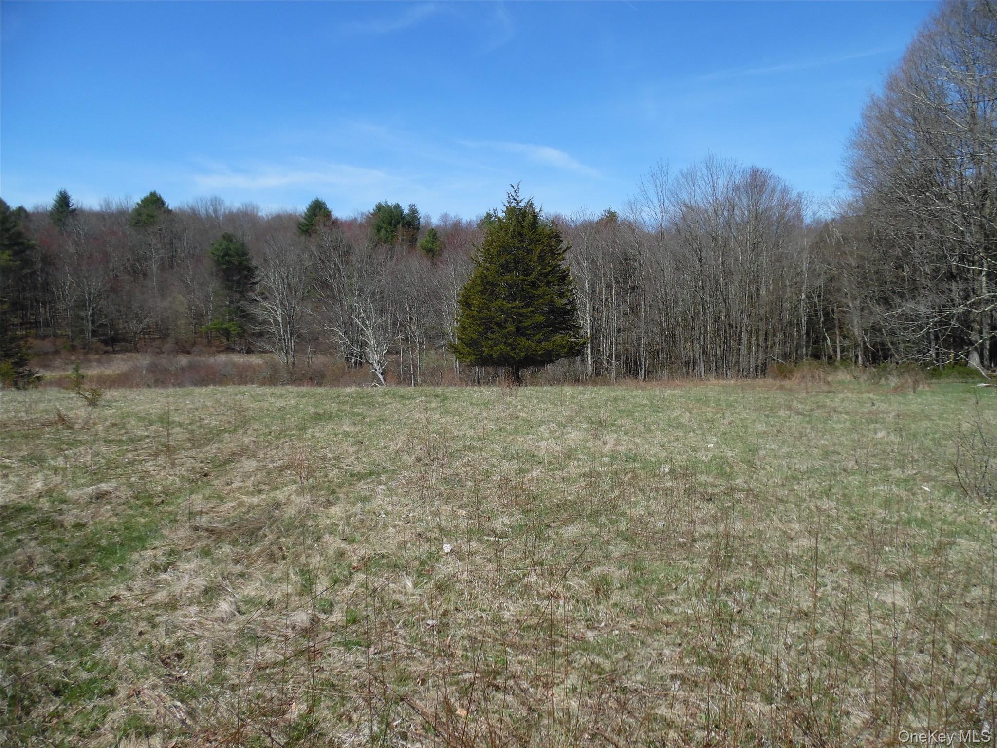 #1 photo, Creamery Road, Bethel , NY 12720