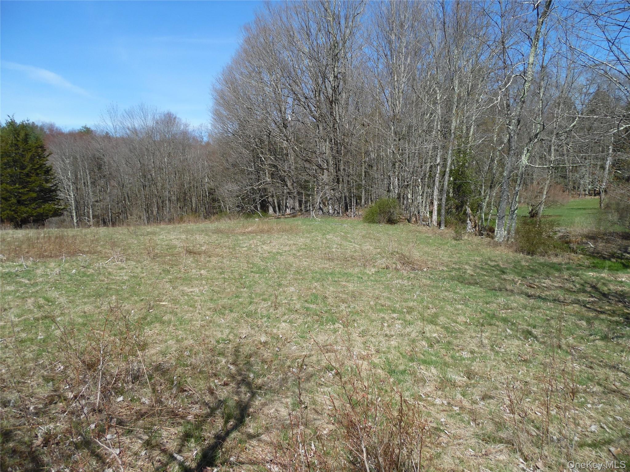#2 photo, Creamery Road, Bethel , NY 12720