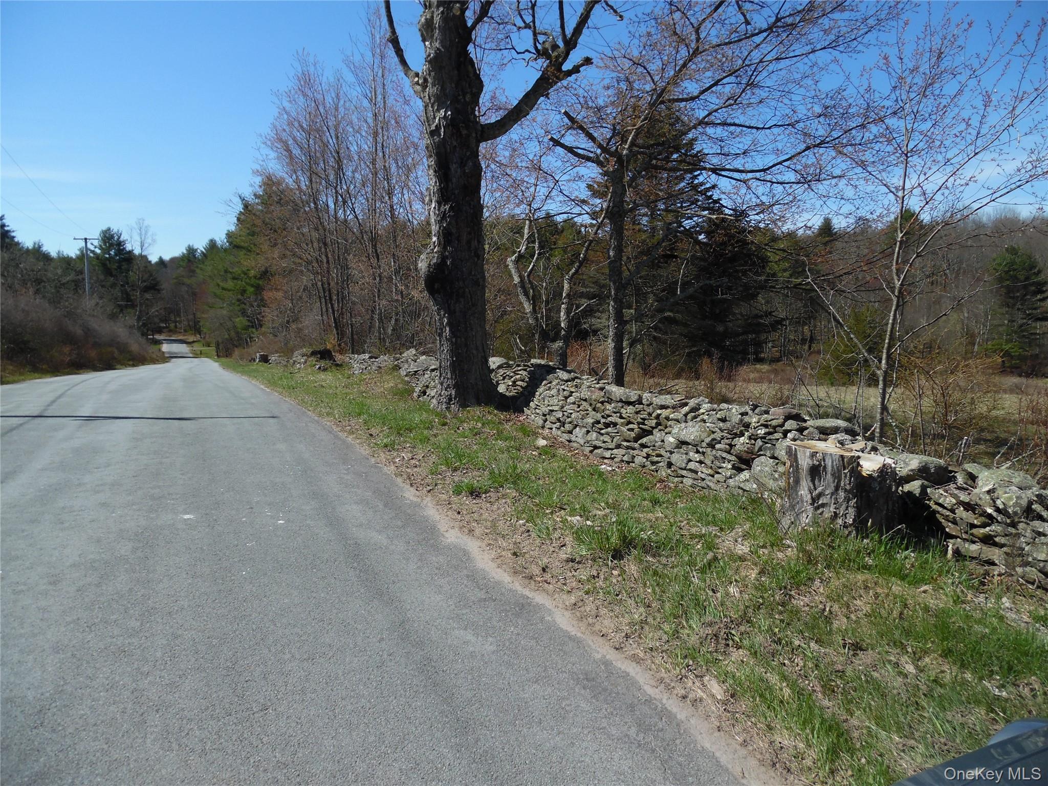 #4 photo, Creamery Road, Bethel , NY 12720