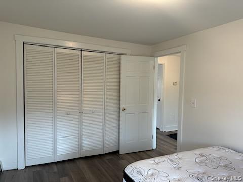 #13 photo, 17 West, Warwick , NY 10990