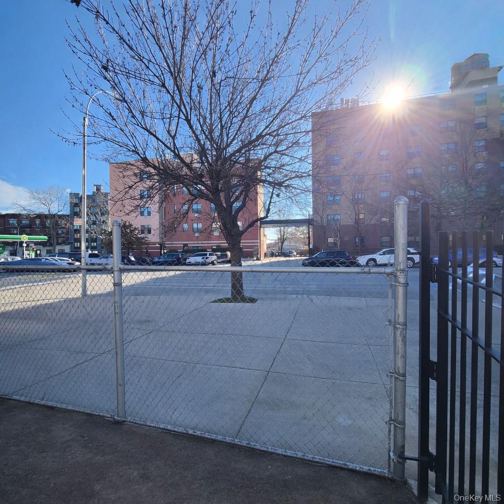 #12 photo, 1705 St. Johns Place, Brooklyn , NY 11223