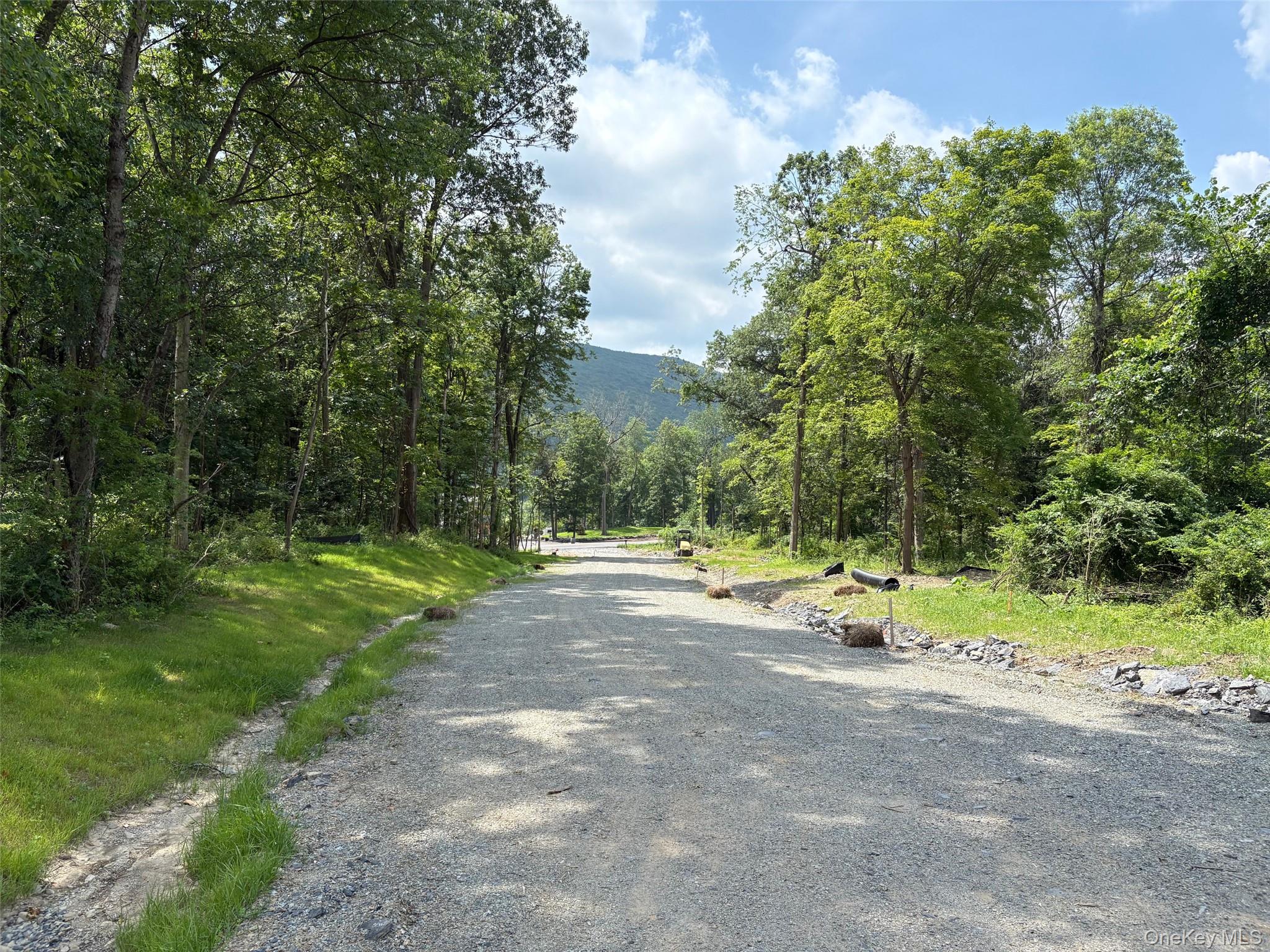 #3 photo, 3 Rosewood Lane, Salisbury Mills , NY 12577