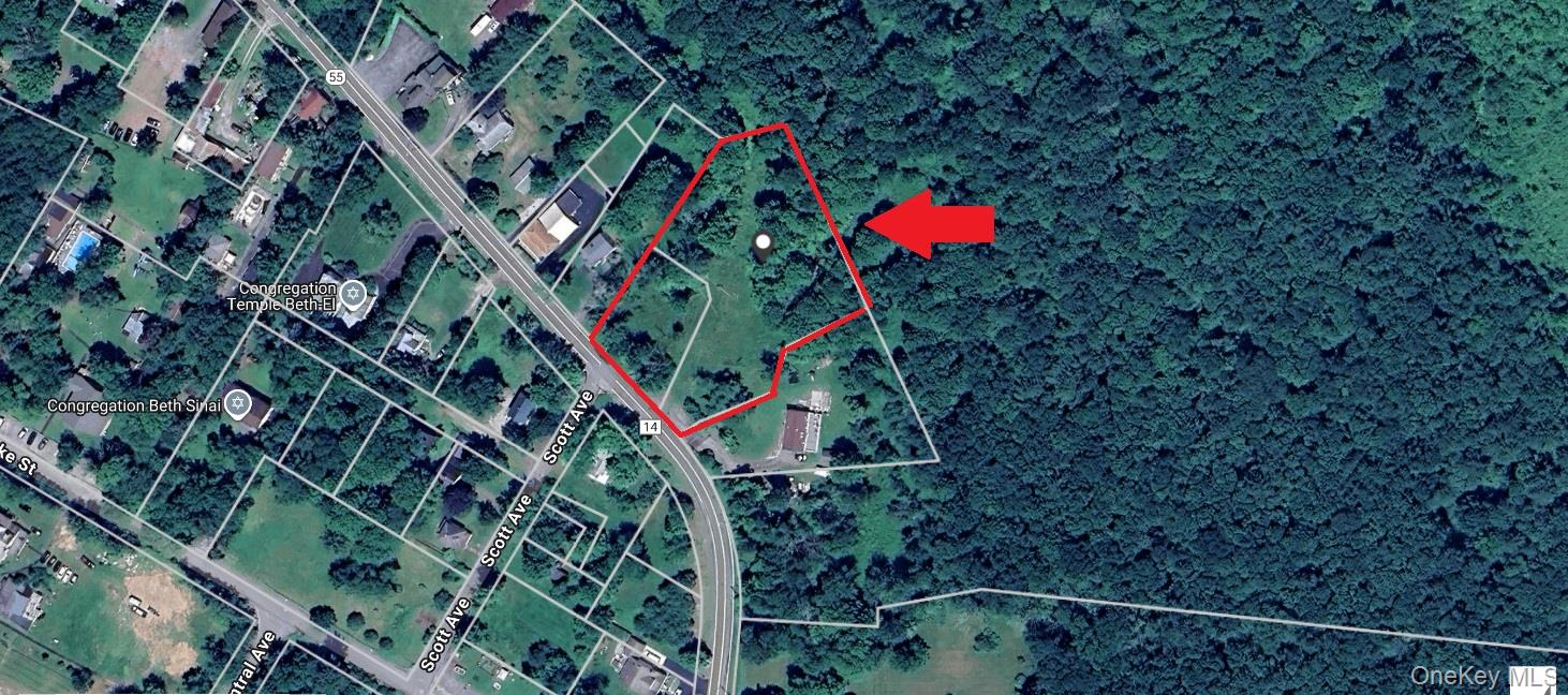 #14 photo, State Route 55, Kauneonga Lake , NY 12720