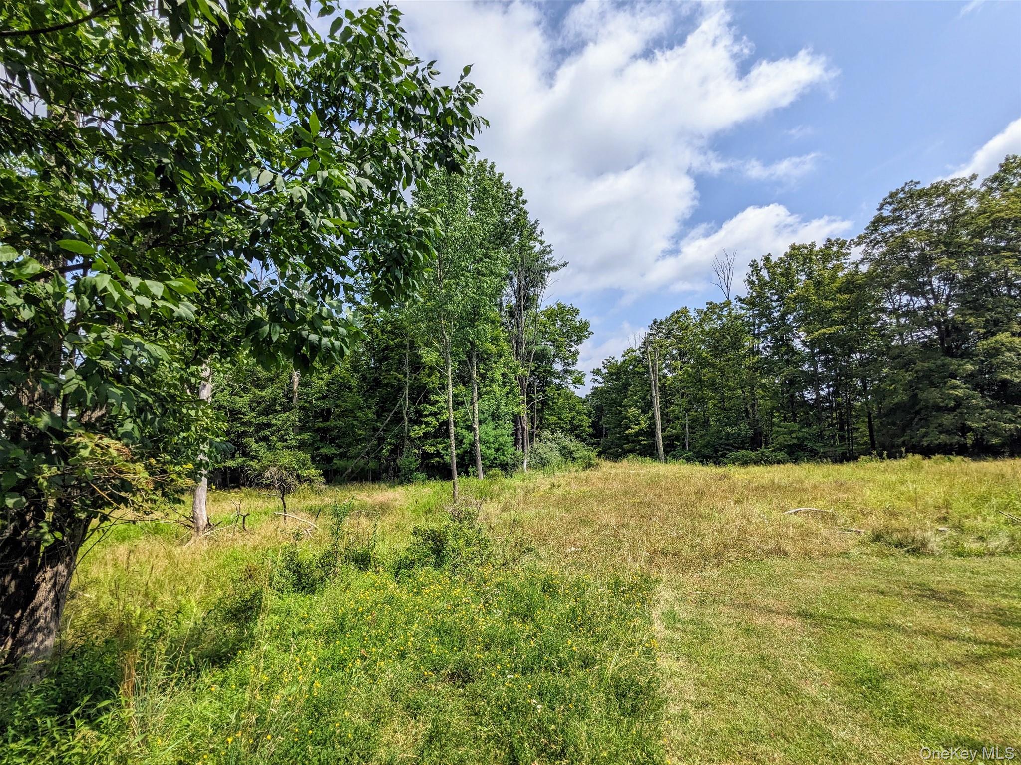 #7 photo, State Route 55, Kauneonga Lake , NY 12720