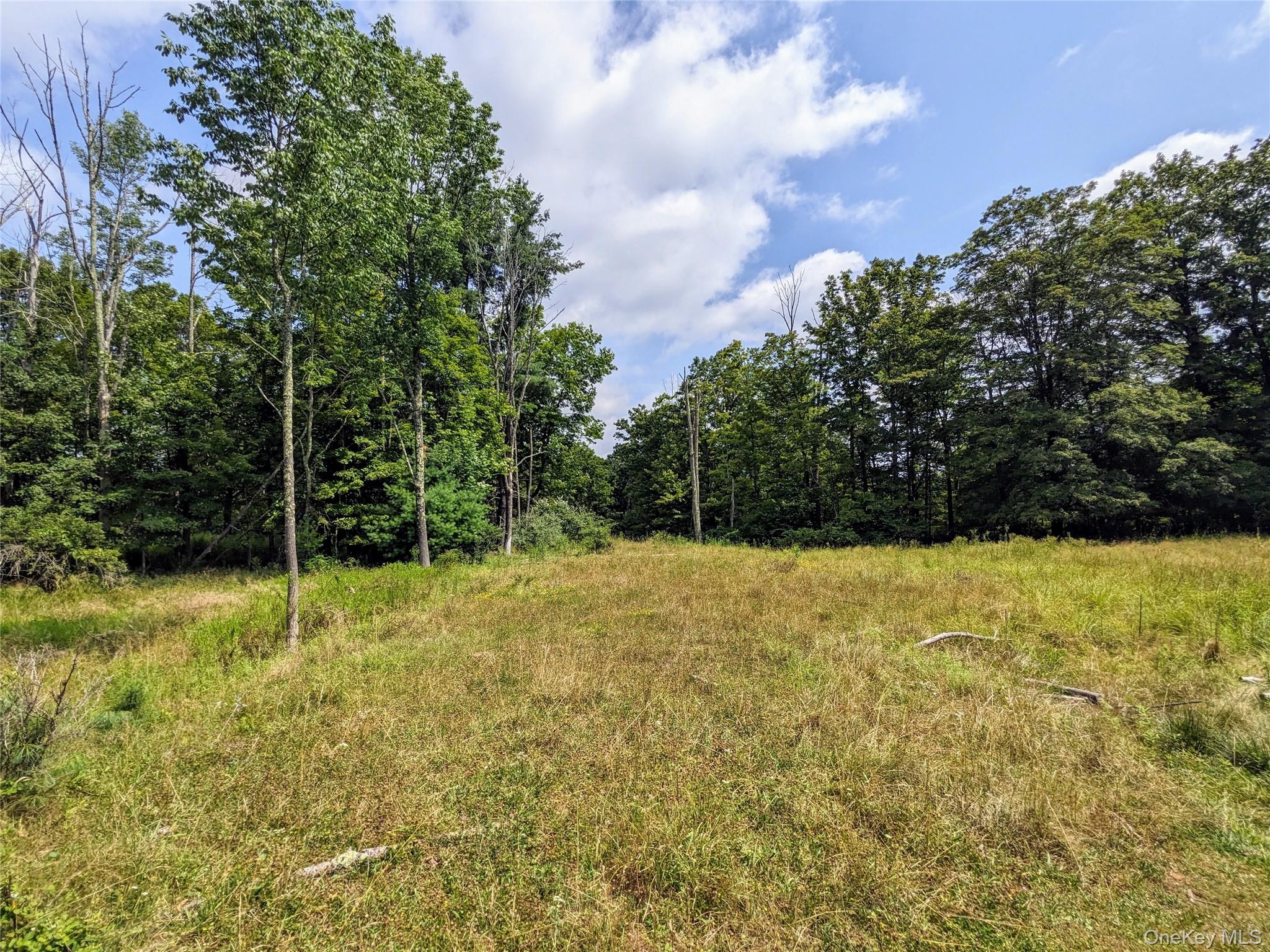 #8 photo, State Route 55, Kauneonga Lake , NY 12720