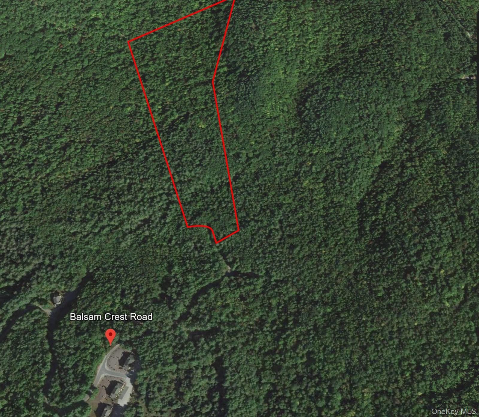 #4 photo, L173 Balsam Crest Road, Call Listing Agent , NY 12817