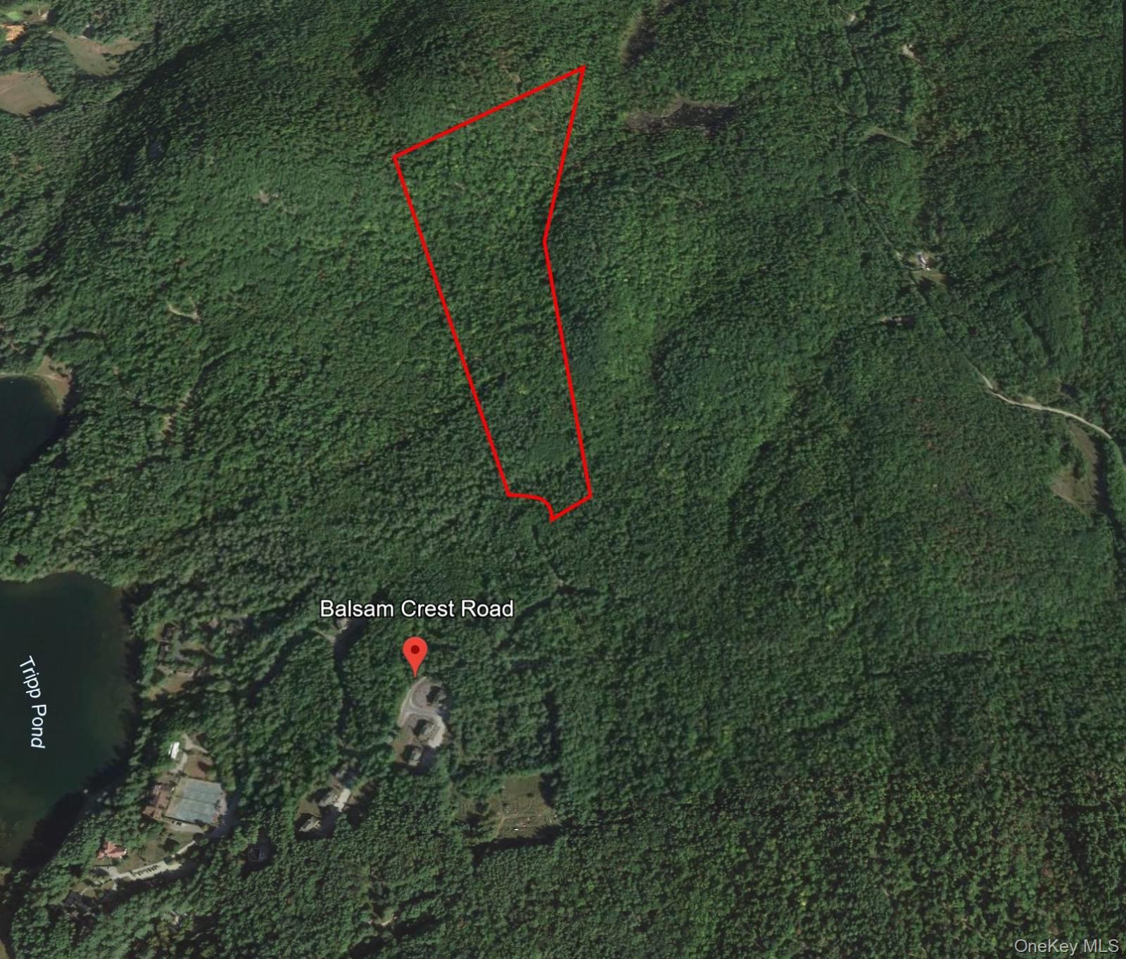 #5 photo, L173 Balsam Crest Road, Call Listing Agent , NY 12817