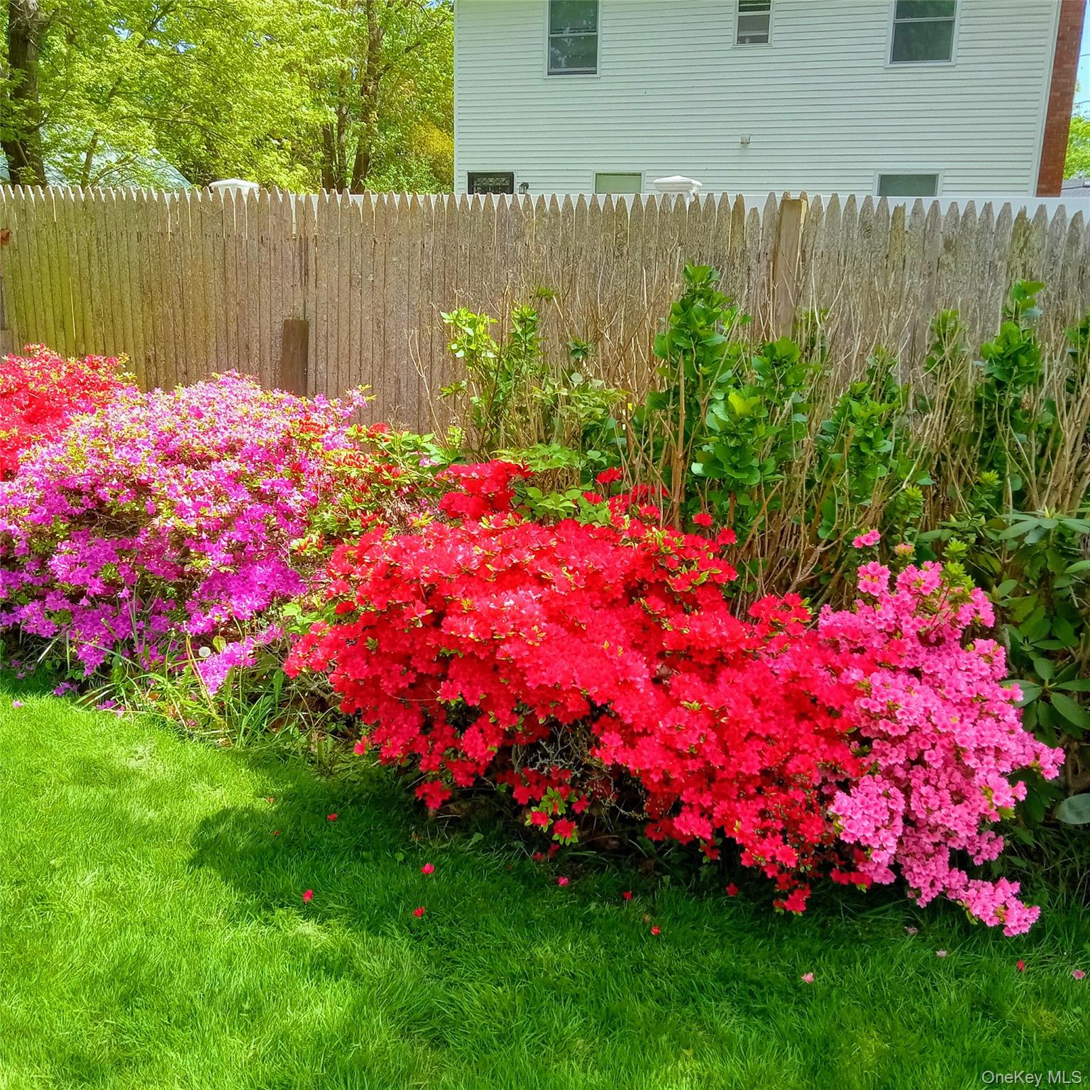 #9 photo, 154 Cedar Road, সাফোক কাউন্টি Mastic Beach , NY 11951