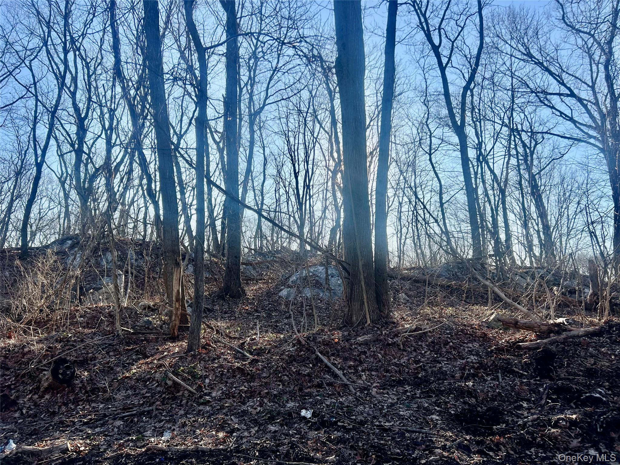 #6 photo, Hillside Road, Carmel , NY 10512