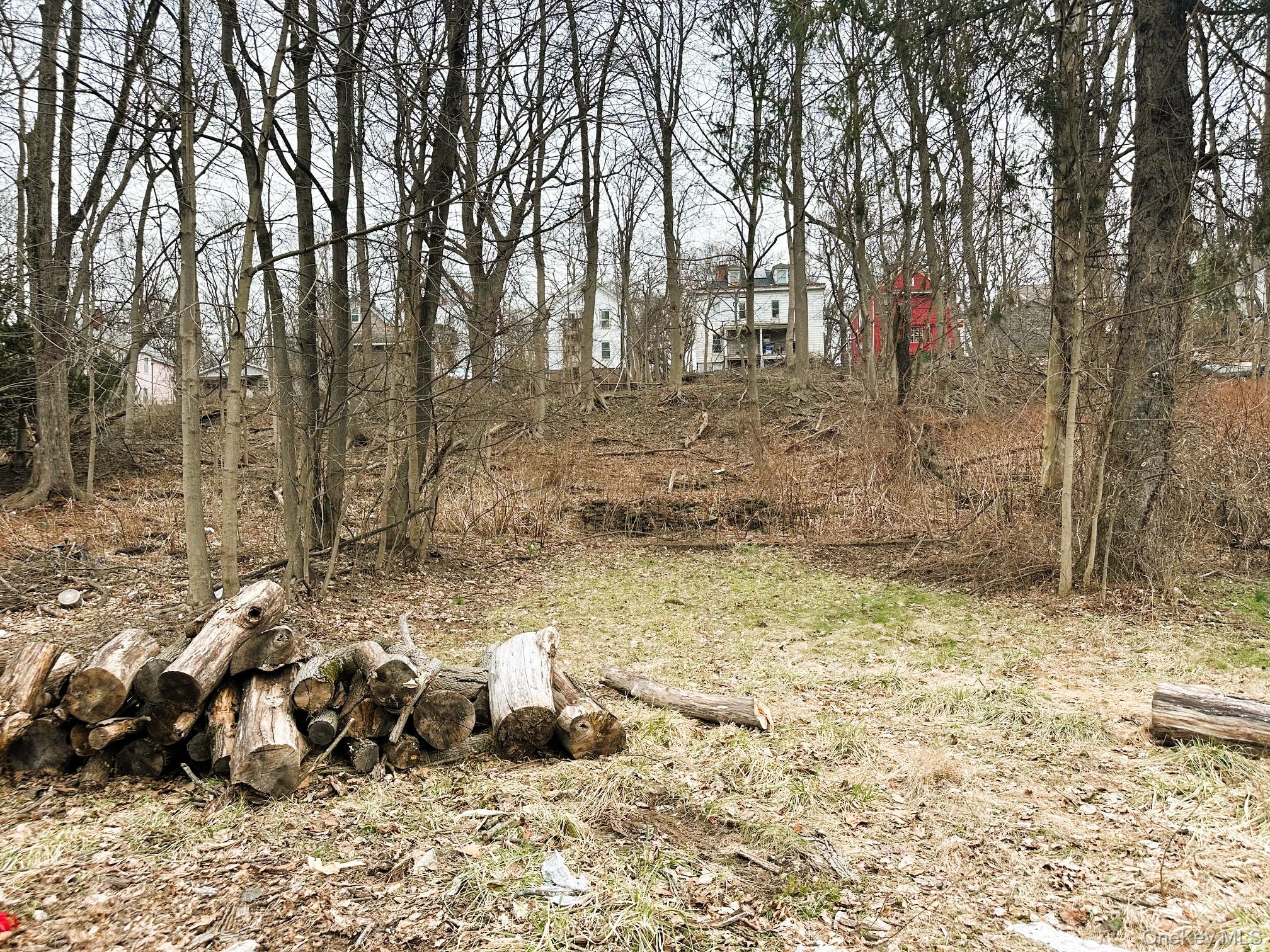 #12 photo, 197 Hamilton Street, Poughkeepsie , NY 12601