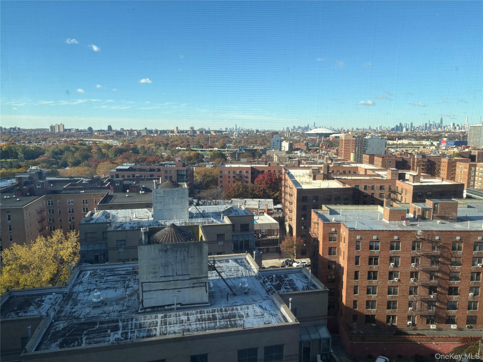 #18 photo, 138-10 Franklin Avenue, Flushing , NY 11355