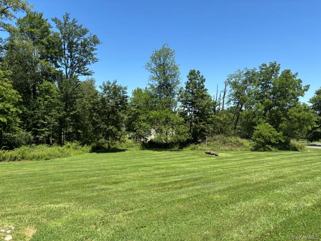 #6 photo, 23 Snow Street, Bloomingburg , NY 12721