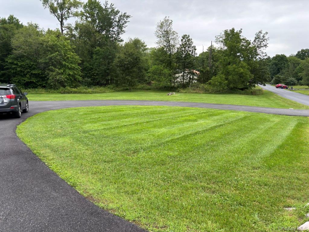 #8 photo, 23 Snow Street, Bloomingburg , NY 12721