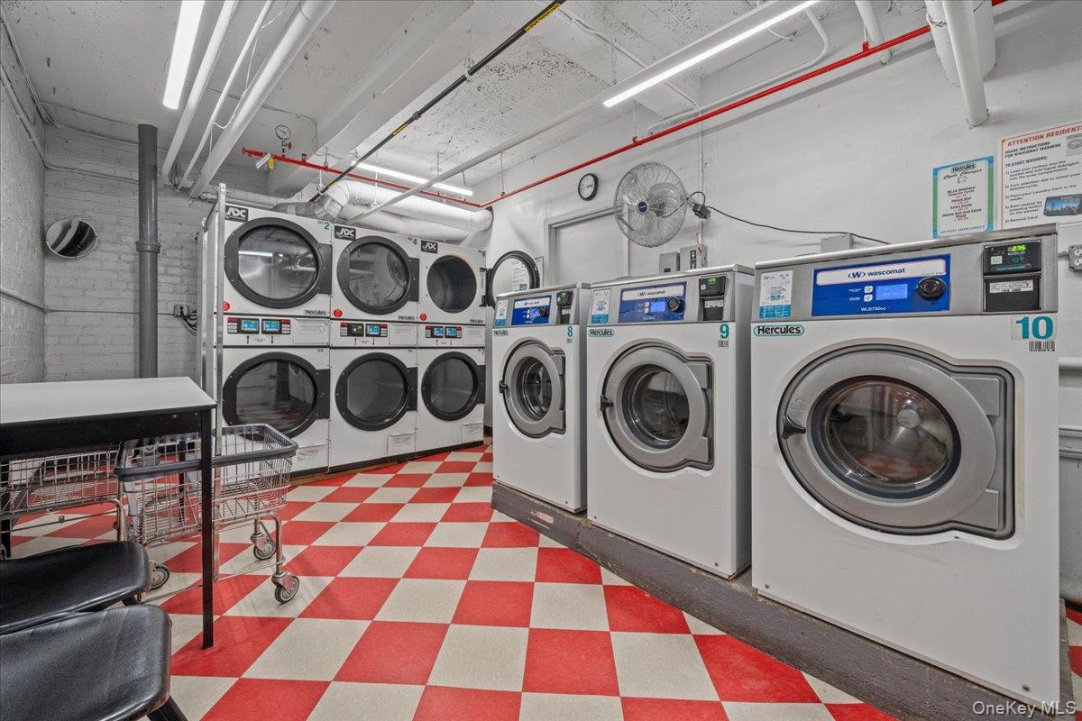 #13 photo, 445 W 240th Street, Bronx , NY 10463