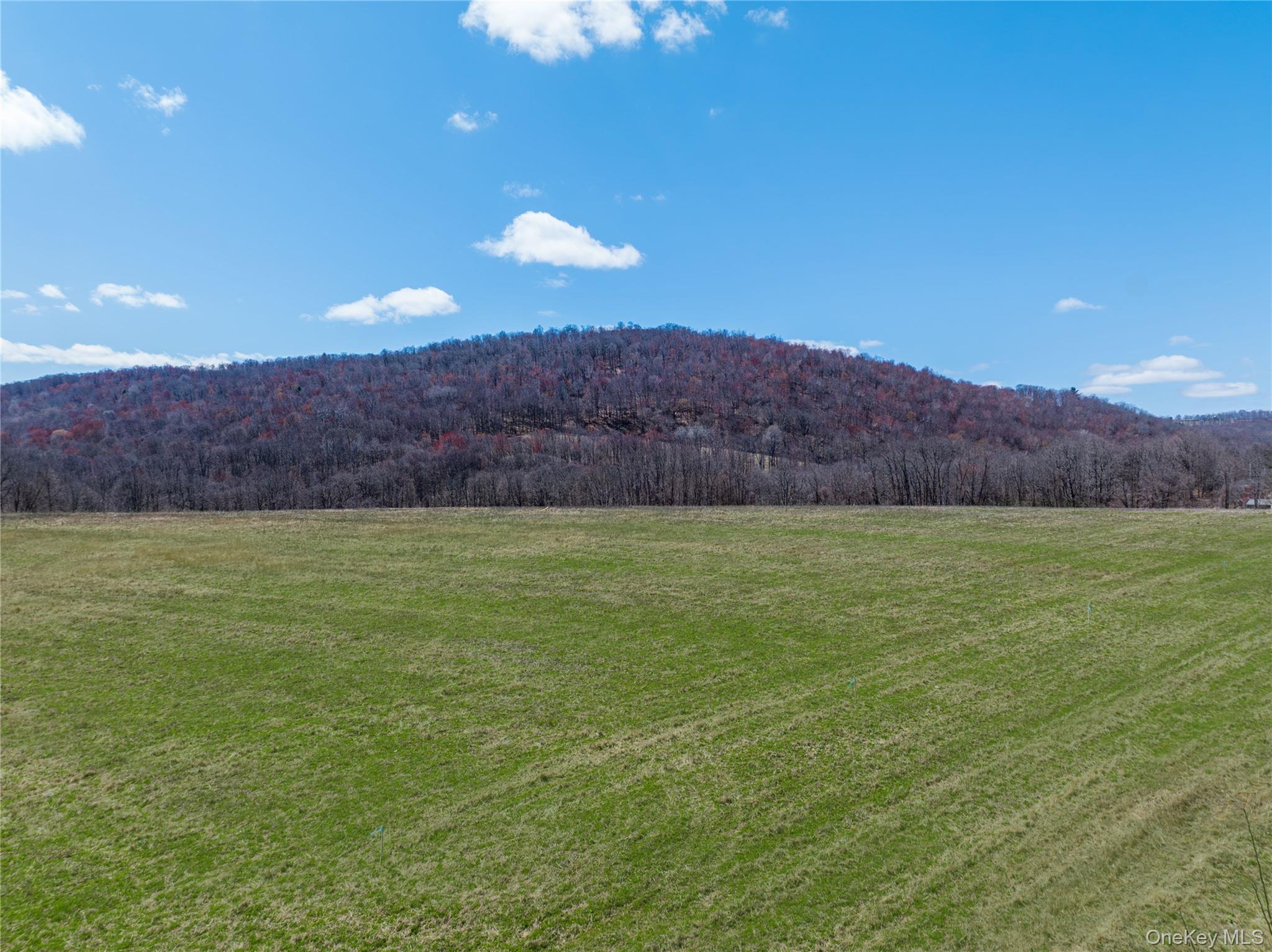 #1 photo, Lot # 8 McGhee Hill Road, Millerton , NY 12546