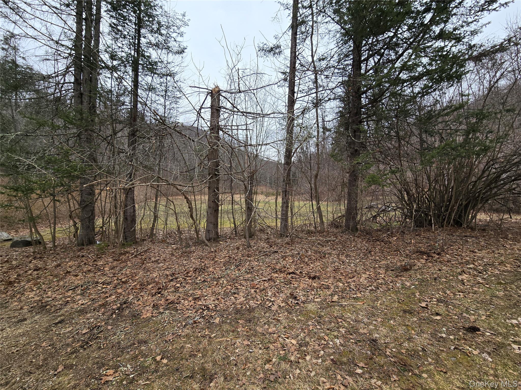 #2 photo, 20 Peck Hollow Road, Shandaken , NY 12480