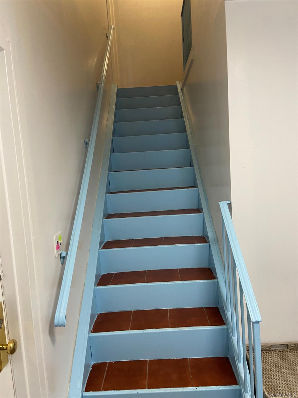 #14 photo, 3117 Buell Street, কুইন্‌স East Elmhurst , NY 11369