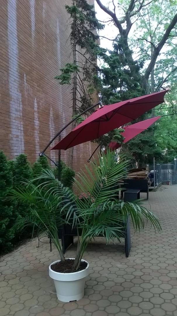 #10 photo, 140-17 84th Dr,, কুইন্‌স Briarwood , NY 11435