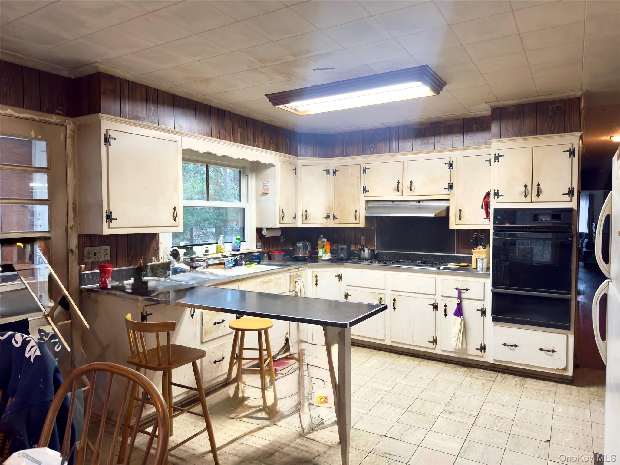 #4 photo, 6 Pine Tree Lane, Hyde Park , NY 12538