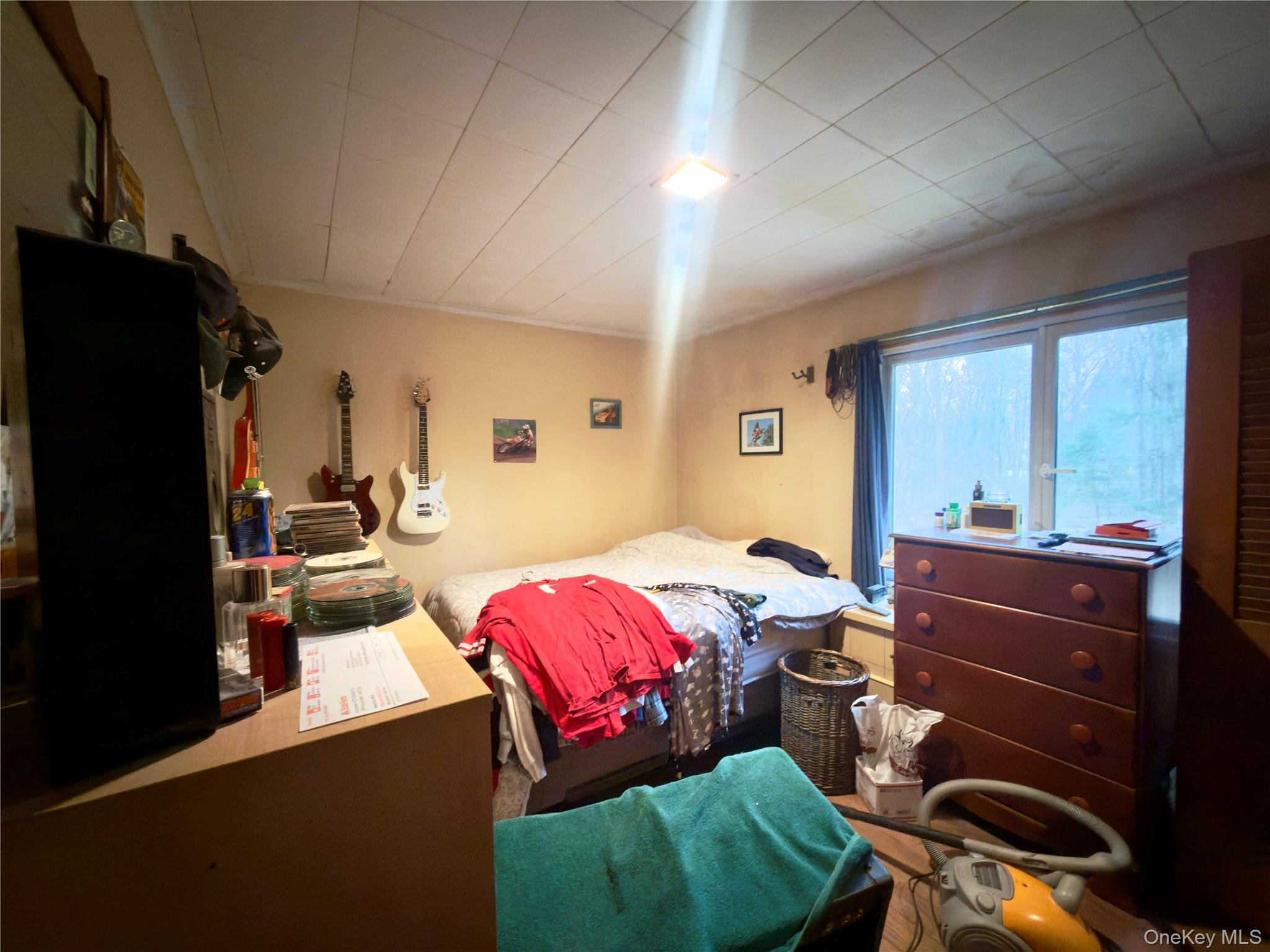 #7 photo, 6 Pine Tree Lane, Hyde Park , NY 12538