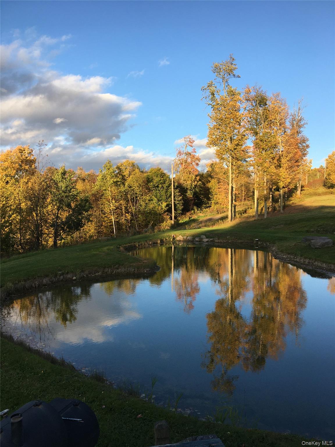 #11 photo, 540 Lewis Road, Walton , NY 13856