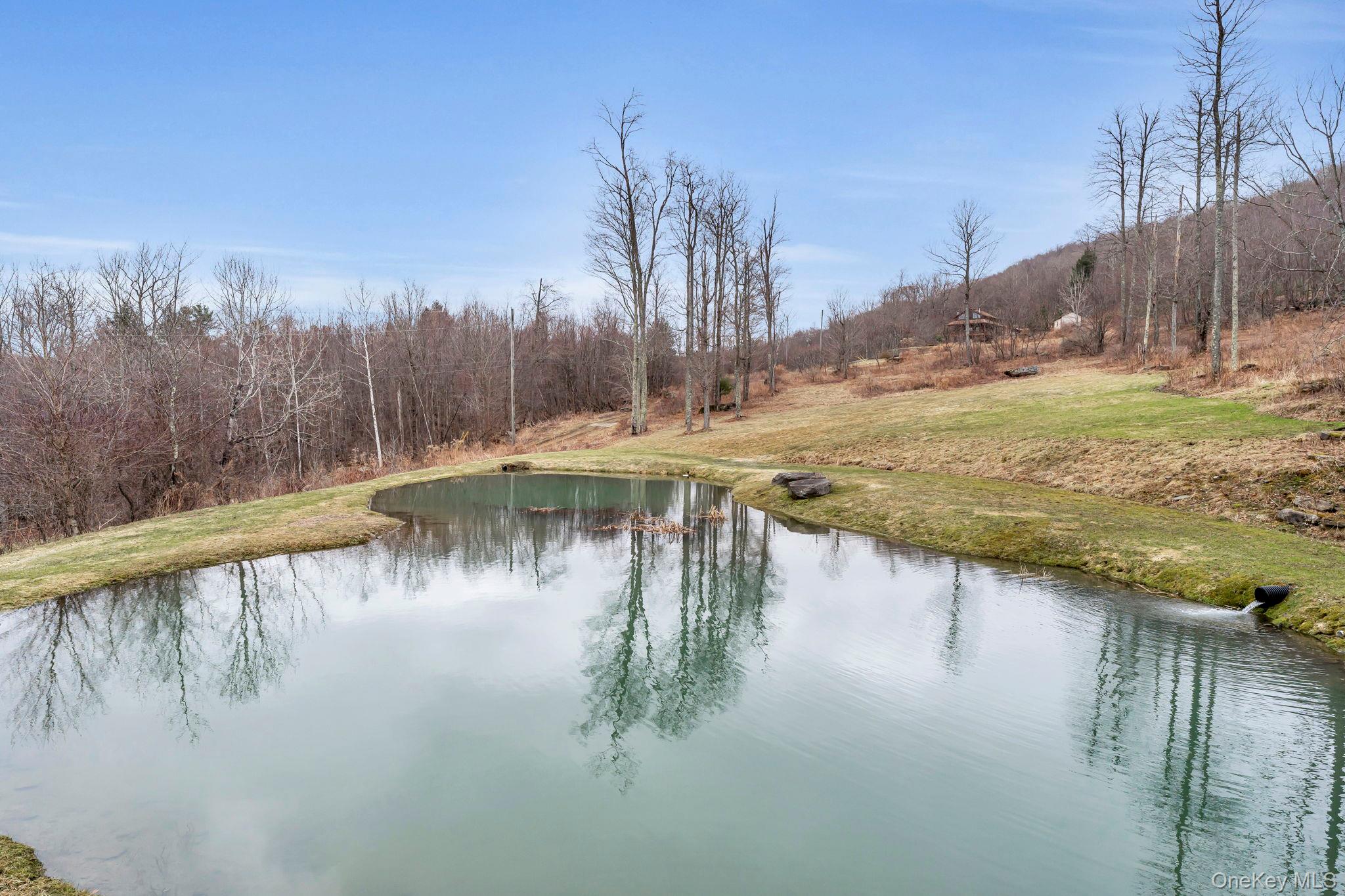 #12 photo, 540 Lewis Road, Walton , NY 13856