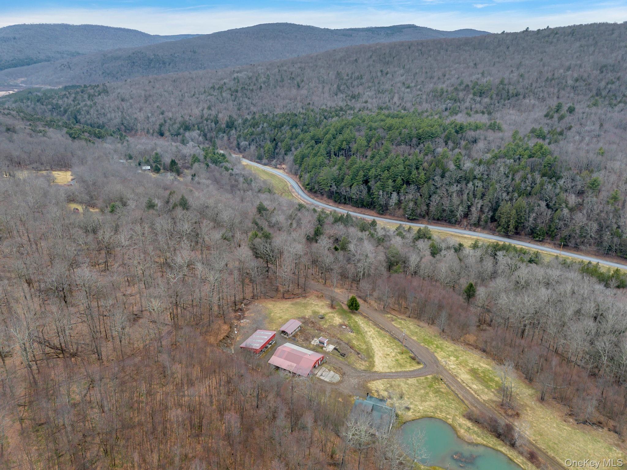 #3 photo, 540 Lewis Road, Walton , NY 13856