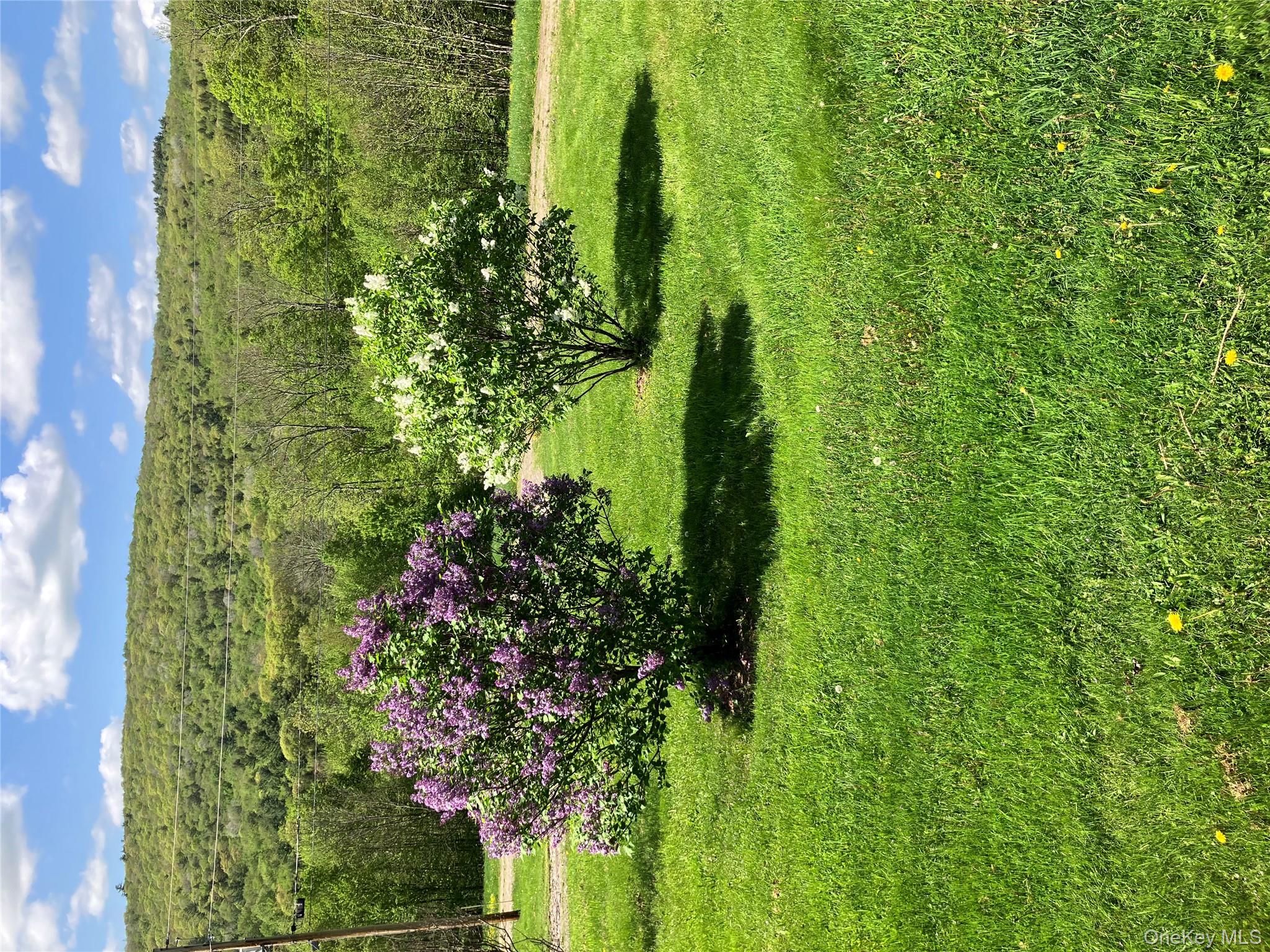 #8 photo, 540 Lewis Road, Walton , NY 13856