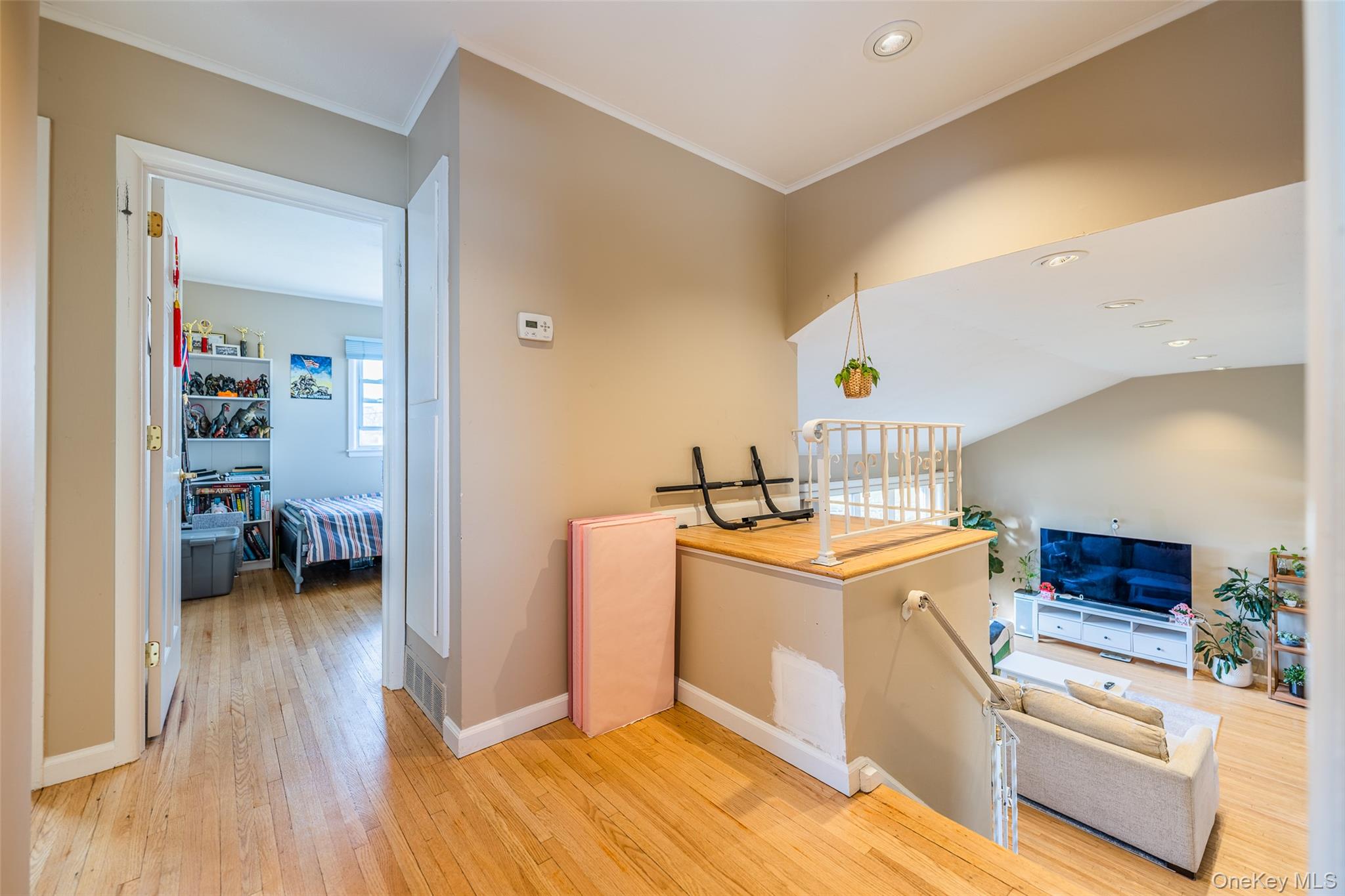 #18 photo, 22 Forest Drive, Plainview , NY 11803