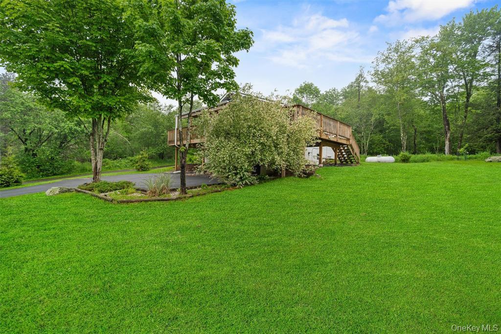 #5 photo, 1013 Cooley Road, Parksville , NY 12768