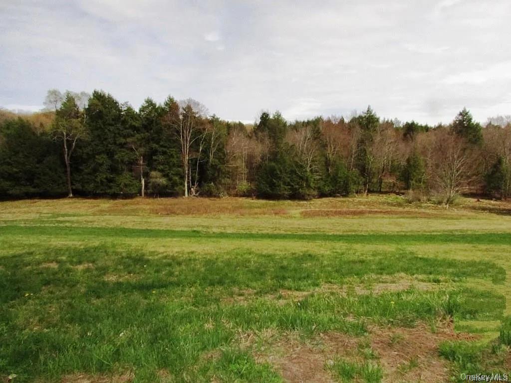 #1 photo, Hurd Road, Bethel , NY 12720